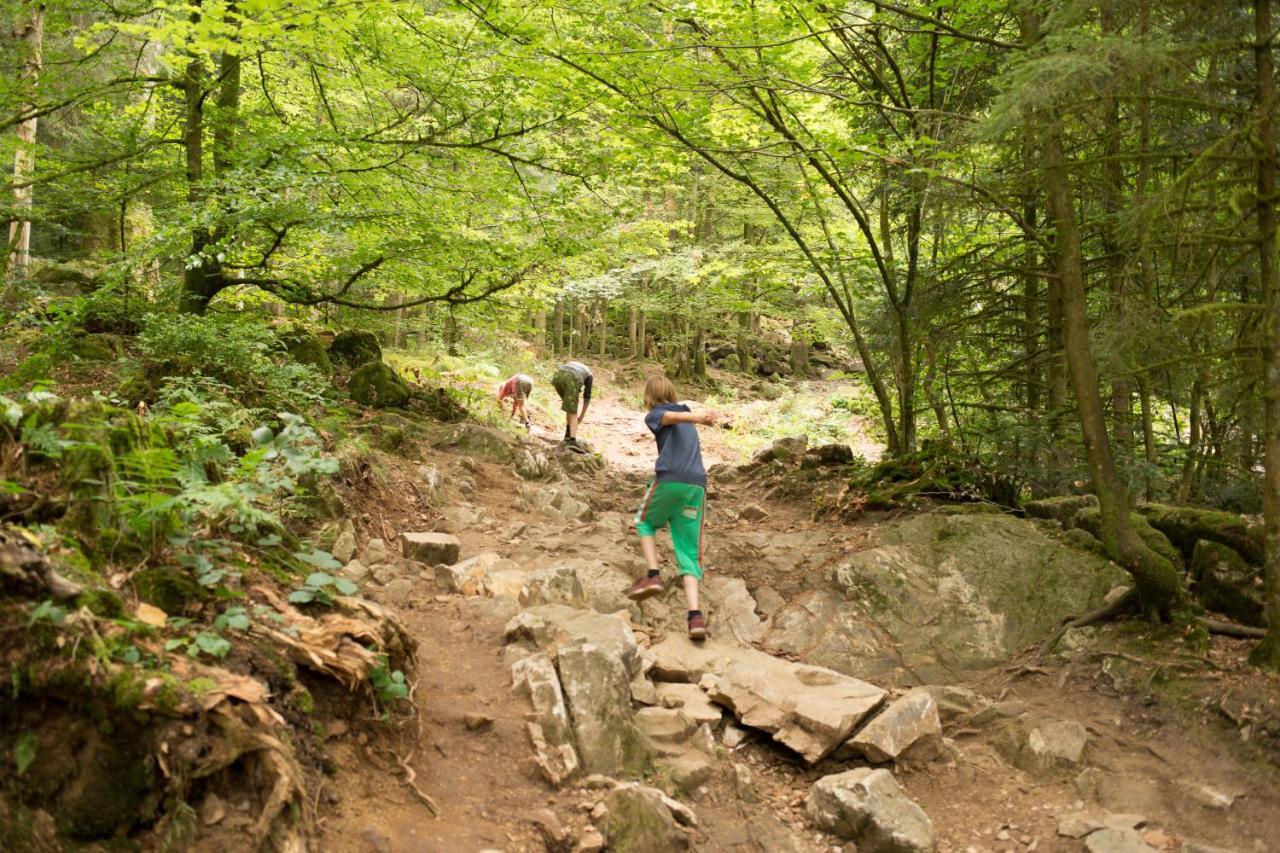 Europe Tents Camping Domaine Des Messires Herpelmont Εξωτερικό φωτογραφία